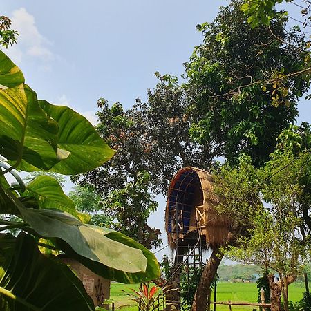 Pemsee'S Tree Town - Eco-Friendly,Tree House Hostel Sauraha Exterior foto