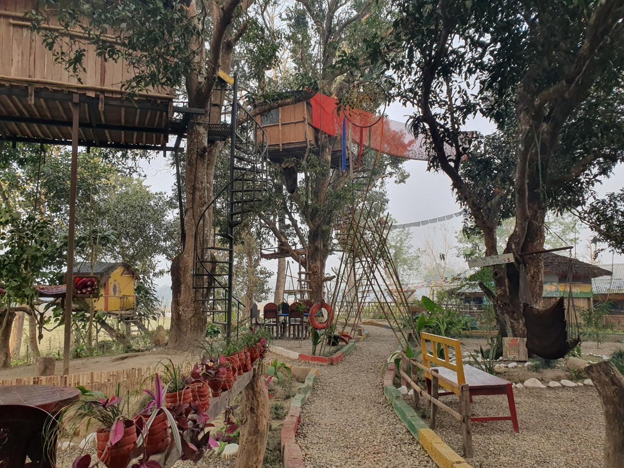Pemsee'S Tree Town - Eco-Friendly,Tree House Hostel Sauraha Exterior foto