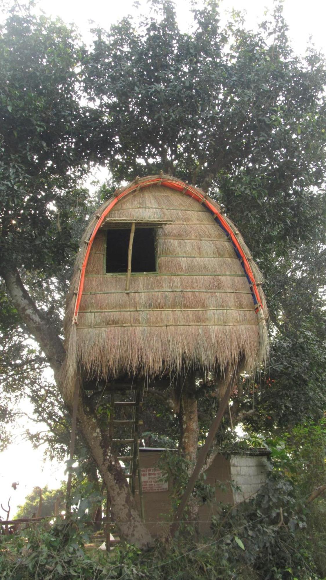 Pemsee'S Tree Town - Eco-Friendly,Tree House Hostel Sauraha Exterior foto