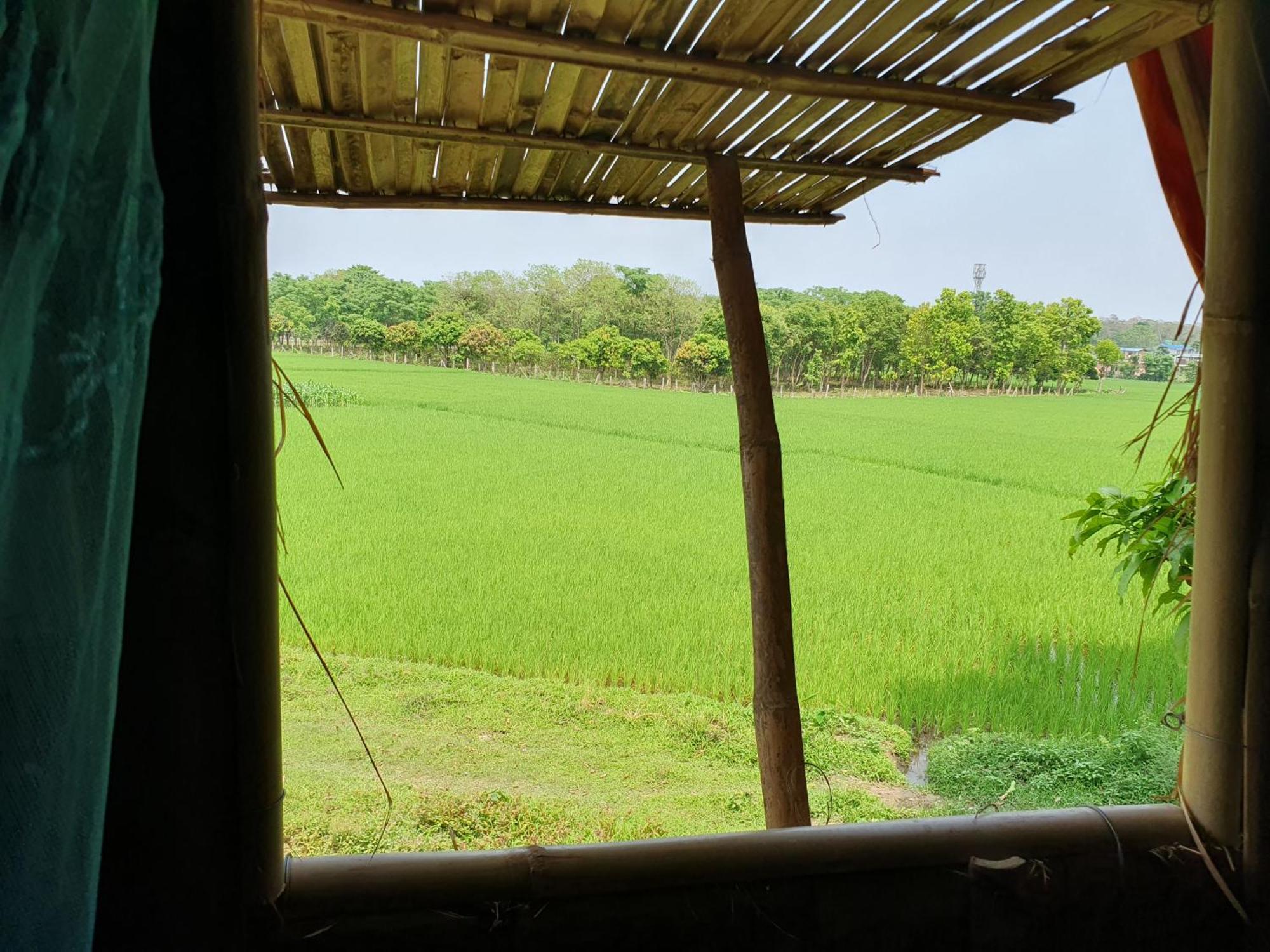 Pemsee'S Tree Town - Eco-Friendly,Tree House Hostel Sauraha Exterior foto